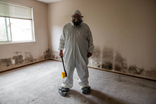 Mold Testing and Removal in Elkins, AR